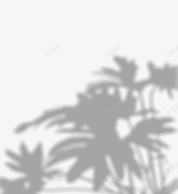 植物投影光影阴影png免抠素材_88icon https://88icon.com 光影 光影背景 投影 植物 植物光影 透明png