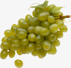 生态健康绿色葡萄素材