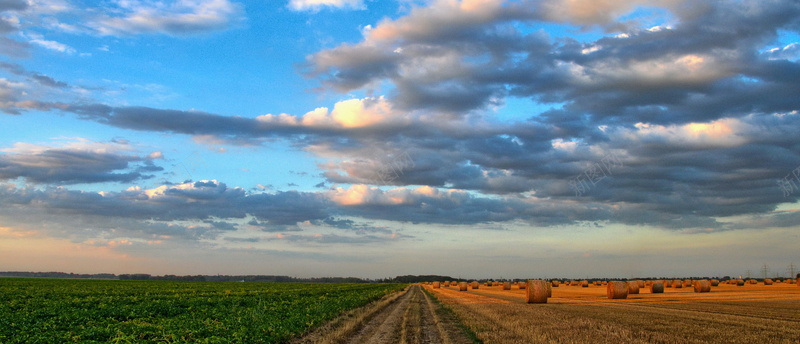 蓝天麦田背景图jpg设计背景_88icon https://88icon.com 蓝天 白云 麦地 田野 海报banner 摄影 风景