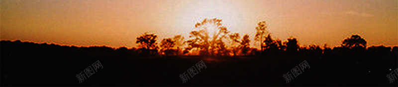 烟花喜庆风景春节节日背景jpg设计背景_88icon https://88icon.com 春节 新春佳节 喜庆 团圆 欢乐 节日 文艺 摄影 爆竹 烟花 恭喜发财 瑞狗迎春 开心