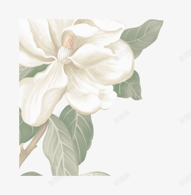 花朵白色元素花瓣png免抠素材_88icon https://88icon.com 元素 白色 花朵