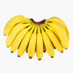 香蕉热带水果素材