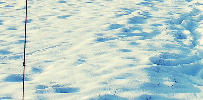 蓝色天空雪景H5背景图片jpg设计背景_88icon https://88icon.com 蓝色 天空 雪景 背景 图片 H5 摄影 风景