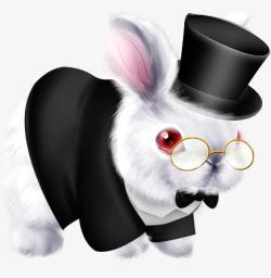 戴眼镜的小兔子素材