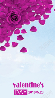 紫色花瓣情人节背景背景