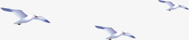创意摄影白色的海鸥翱翔效果png免抠素材_88icon https://88icon.com 创意 摄影 效果 海鸥 白色 翱翔