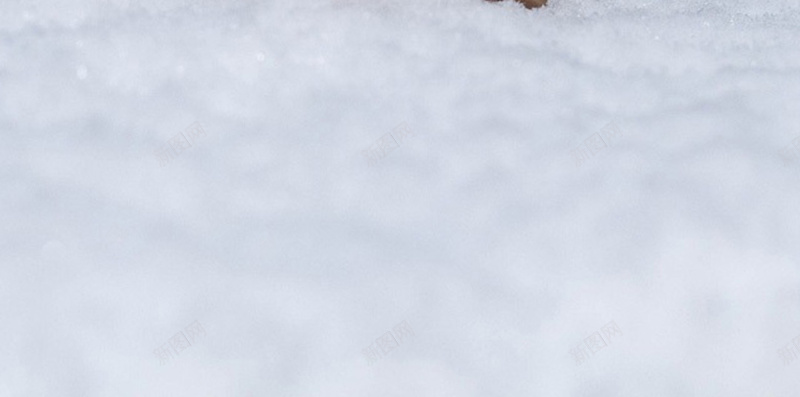 可爱萌安卓卡通H5背景jpg设计背景_88icon https://88icon.com 机器人 冬天 安卓 科技 雪 可爱 卡通 H5 h5 科技感 科技风 高科技 童趣 手绘