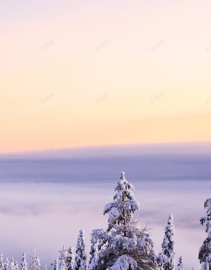 黄昏下的雪景H5背景jpg设计背景_88icon https://88icon.com 雪 雪地 雪景 树 蓝色 H5背景 天空 黄昏 H5 h5 摄影 风景