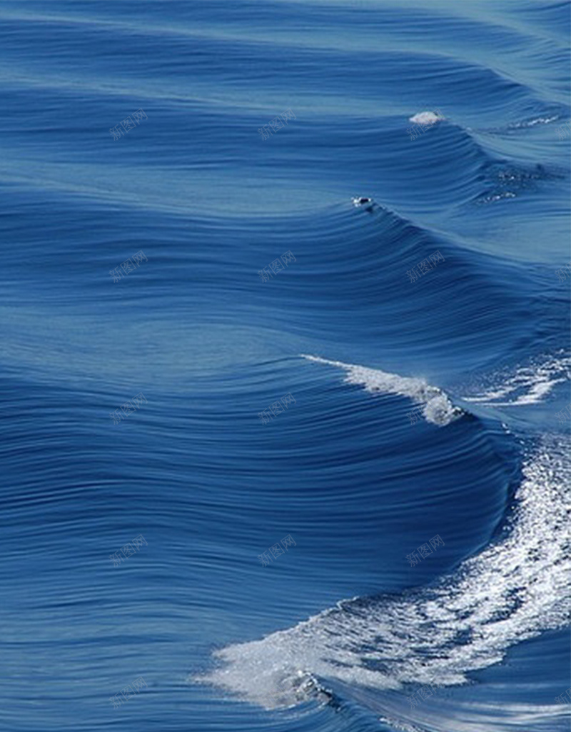 简约大气H5图jpg设计背景_88icon https://88icon.com H5 h5 大气 海浪 简约 蓝色 风景