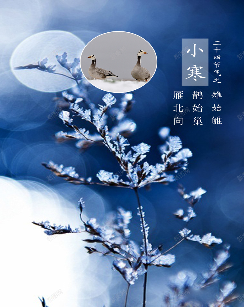 雪花小寒海报素材jpg设计背景_88icon https://88icon.com 小寒 雪花 大雪 风景 二十四节气 瑞雪 中国风