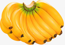 金色香蕉素材