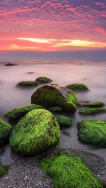 梦幻海边尽头风景H5背景背景