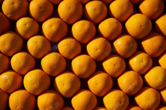 橙子橙色背景水果背景