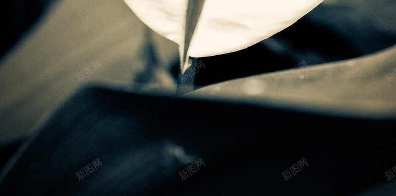 大屏风景手机H5背景jpg设计背景_88icon https://88icon.com 风景 植物 白色 花朵 花蕊 H5 h5 摄影