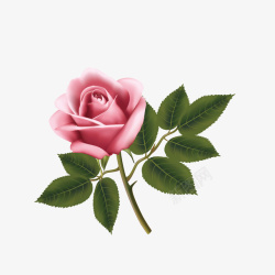 手绘粉色玫瑰花矢量图素材