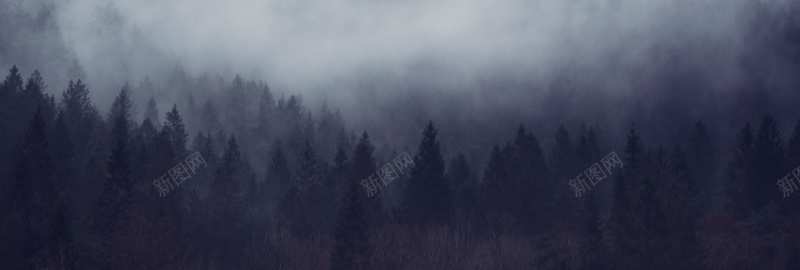 森林雾气背景背景