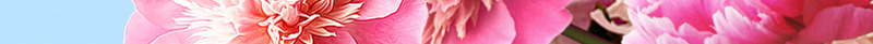 创意合成天然玫瑰隔离防晒乳宣传海报psd设计背景_88icon https://88icon.com 创意 合成 夏日 天然 宣传 海报 玫瑰 素材 背景 花朵 蓝天 防晒 防晒乳 隔离