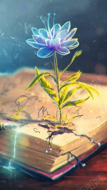 书上的梦幻花朵背景H5背景