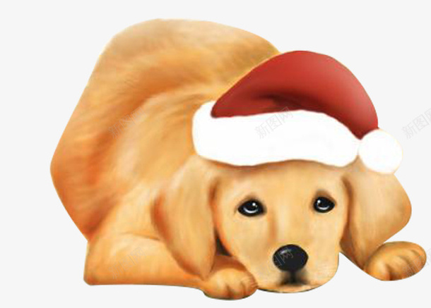 圣诞节金毛png免抠素材_88icon https://88icon.com 善良 忠诚 棕色的毛 红色的帽子 萌萌的狗狗 迷人的眼神 金毛卡通 黄金猎犬