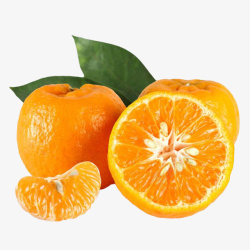 粑粑柑橘子新鲜橘子两瓣儿素材