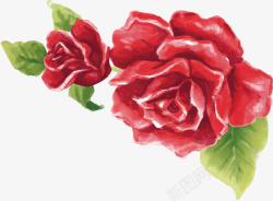 水彩玫瑰花朵矢量图素材