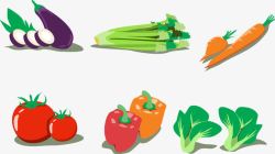 吃素食健康自然产品茄子素材