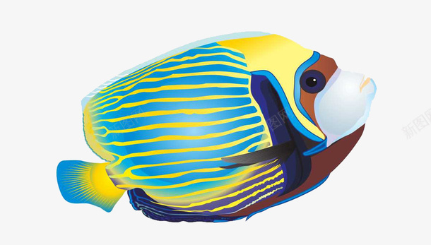 海中彩鱼png免抠素材_88icon https://88icon.com 手绘鱼 手绘黄花 海鱼礼盒素材 海鲜包装素材 海鲜插画