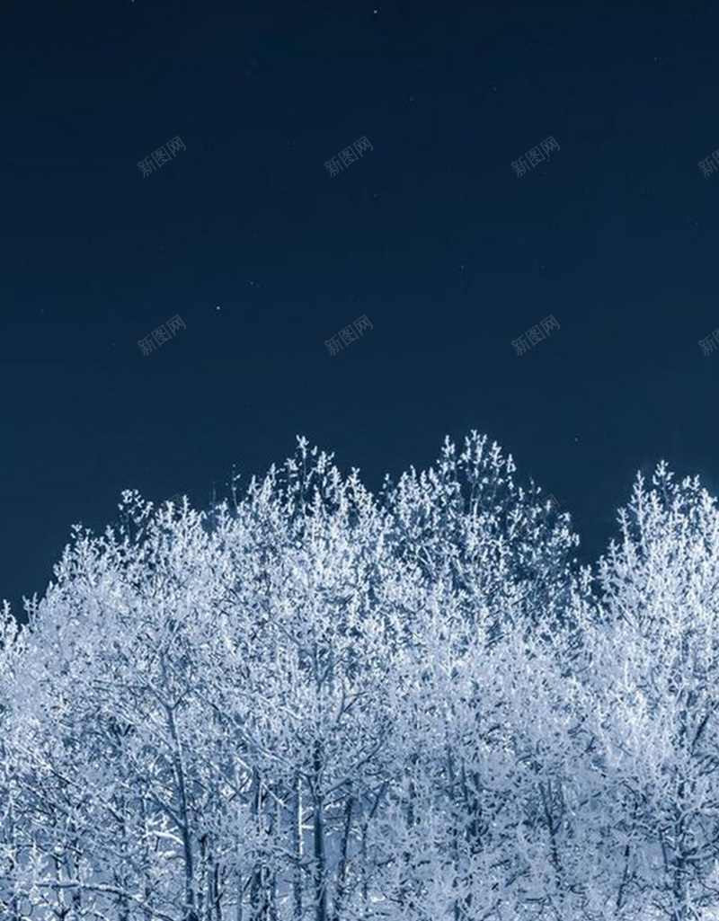 雪树背景图jpg设计背景_88icon https://88icon.com 白色 树 雪 风景 摄影