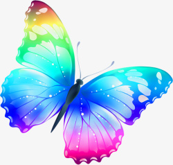 飞翔的蝴蝶唯美彩色蝴蝶高清图片