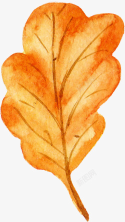 落叶插画秋天黄色叶子手绘高清图片