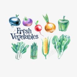 蔬菜美食免费素材