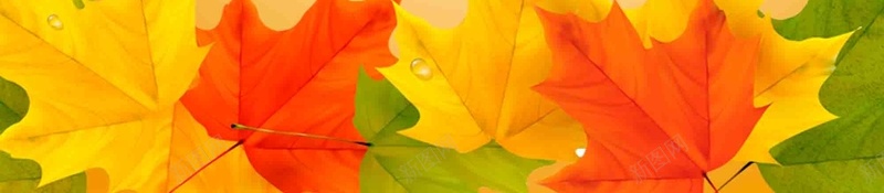 秋装换新秋季新品上市psd设计背景_88icon https://88icon.com 新品上市 新装上市 秋装换新 秋季 金秋 秋季促销 团购 活动