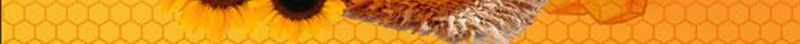 简约大气蜂蜜美食宣传海报背景psd设计背景_88icon https://88icon.com 宣传海报 大气 简约 美食 蜂蜜 广告设计模板 简约大气美食海报 蜜蜂 蜂巢