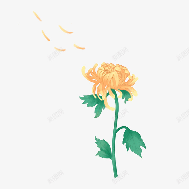重阳节黄菊花赏菊插画素材png免抠素材_88icon https://88icon.com 手绘 插画 菊花 菊花图案 重阳