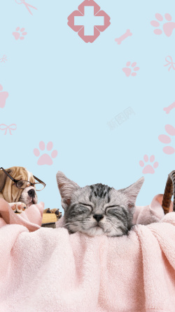 萌宠店促销海报宠物医院可爱萌宠手机海报高清图片