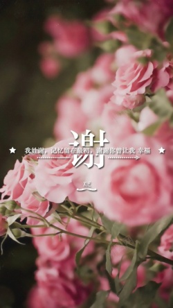 姓氏浪漫粉色玫瑰H5背景高清图片