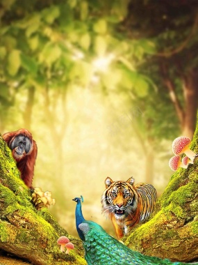 野生动物保护海报背景模板背景