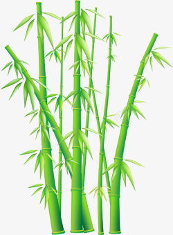 翠绿竹子图案素材