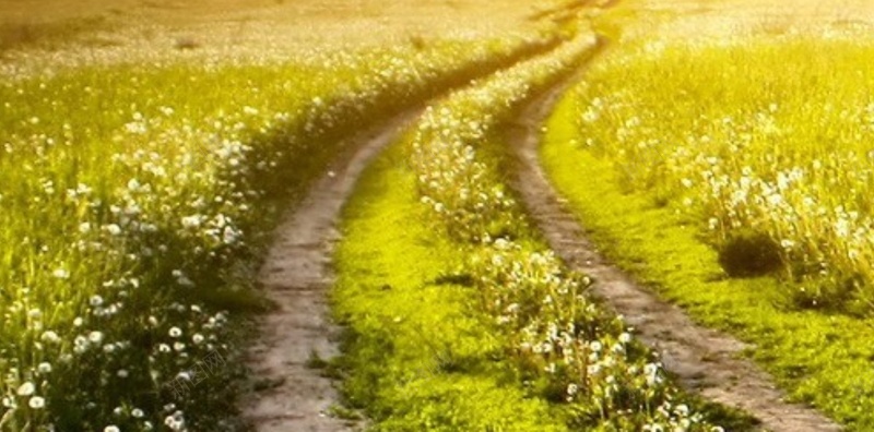 风景天空乌云黄光绿草H5背景素材jpg设计背景_88icon https://88icon.com 风景 天空 乌云 黄光 绿草 H5 摄影