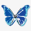 蝴蝶自然的精灵png免抠素材_88icon https://88icon.com butterfly 蝴蝶