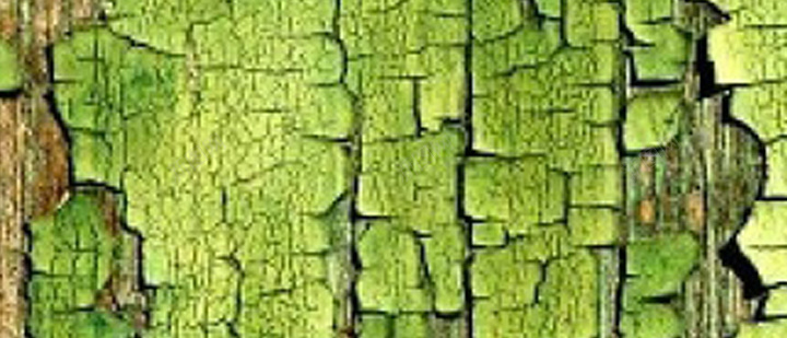 绿色树皮H5背景jpg设计背景_88icon https://88icon.com 树皮 纹理 绿色 质感