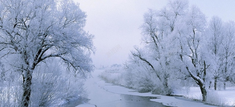风景天空雪景白色树路背景背景
