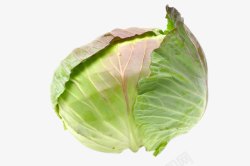 新鲜的包菜素材