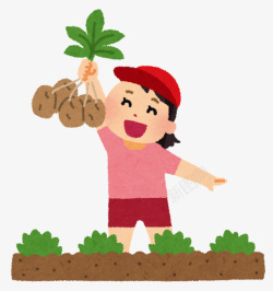 农民劳作小女孩在田间拔土豆高清图片