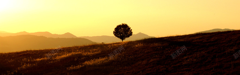 摄影落山的太阳背景jpg设计背景_88icon https://88icon.com 孤树 景观 翁布里亚 日落 摄影 落山的太阳 海报banner 风景