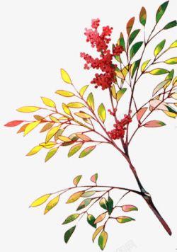 手绘红色小花绿叶树枝素材