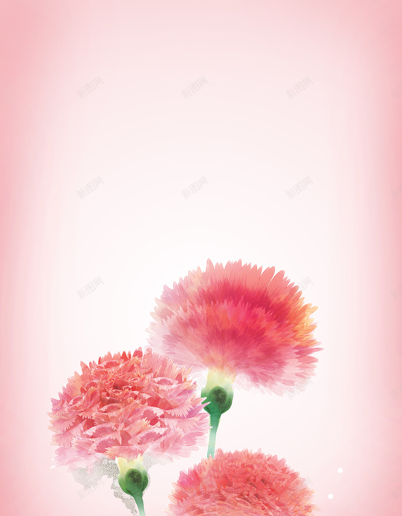 感恩母亲节粉红色促销海报背景psd设计背景_88icon https://88icon.com 妈妈 康乃馨 感恩母亲节粉红色促销海报 最美的花送给最爱的人 母亲节满减促销 温馨 粉红色 花朵