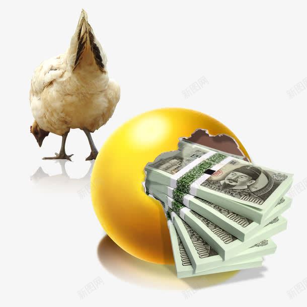 母鸡下蛋png免抠素材_88icon https://88icon.com 动物 家禽 母鸡 金蛋