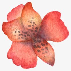 超唯美清新森系水彩红色花朵素材
