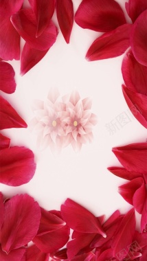 红色花瓣妇女节源文件H5背景背景